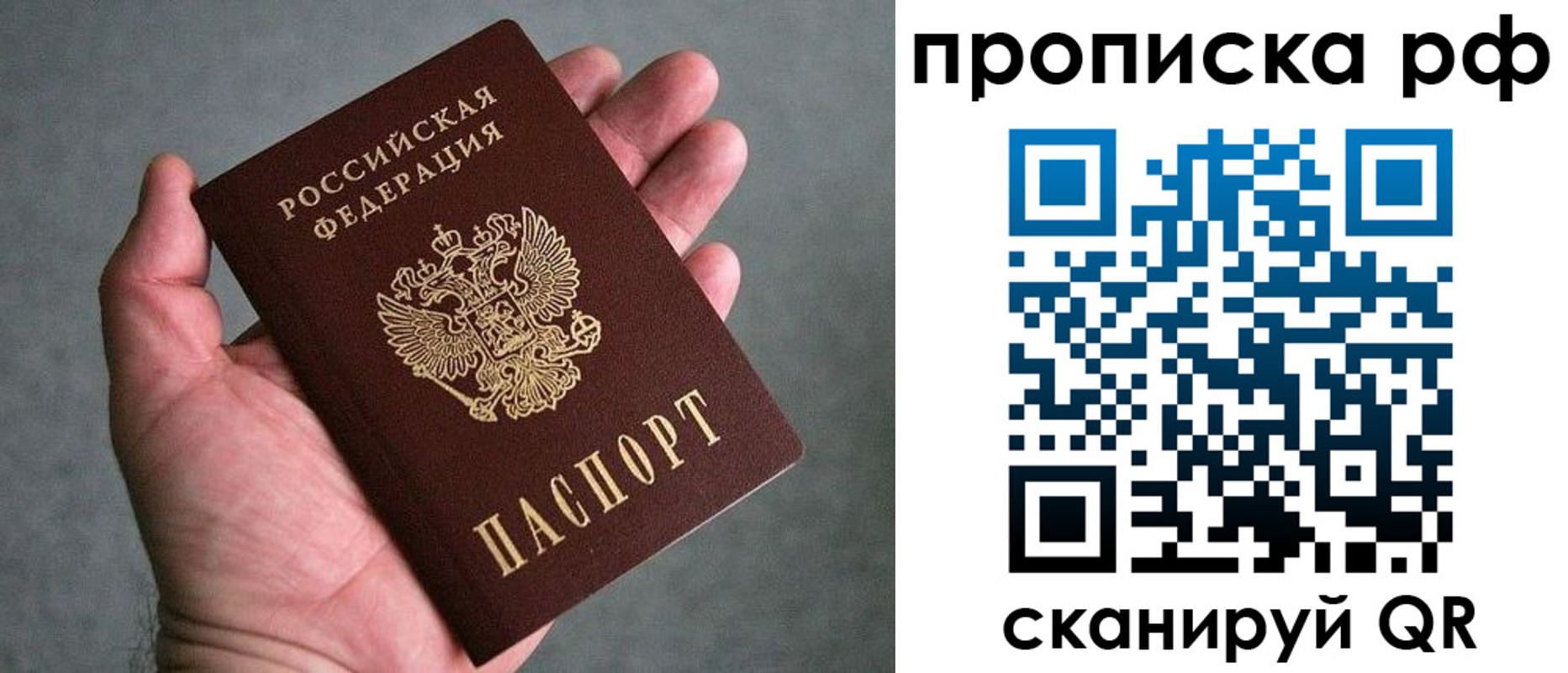 прописка поиск в Кораблино
